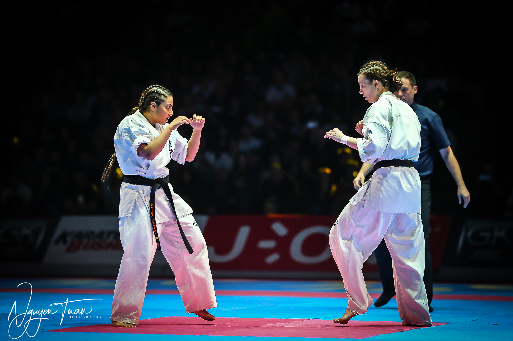 20190324 Festival des Arts Martiaux 6010